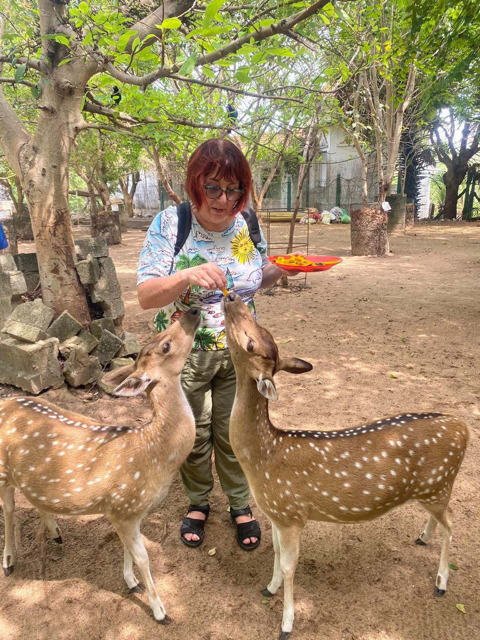 Ceylon Wildlife Safari Adventure